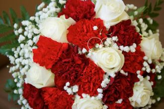 wholesalecarnations.com-strengthens-position-as-a-leader-in-bulk-carnation-supply