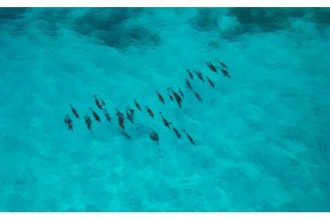 why-maldives’-elite-travelers-swear-by-private-concierge-services