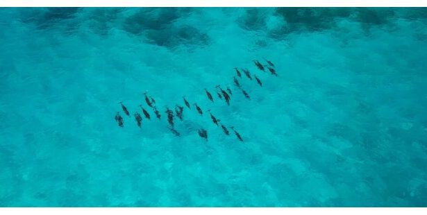 why-maldives’-elite-travelers-swear-by-private-concierge-services