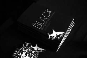 the-black-book-of-branding: the-secret-weapon-every-founder-and-tech-entrepreneur-needs-right-now